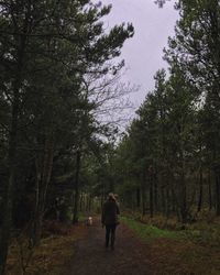 Rear view of man walking in forest