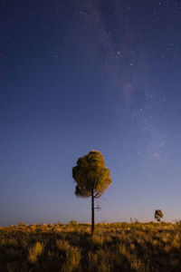 Trees on field against sky at night