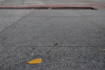 High angle view of road marking on street