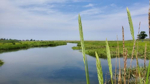 Scenic view of lake against sky