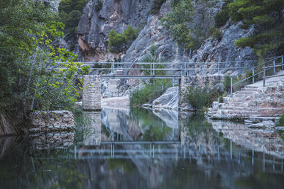 Reflection of trees in lake