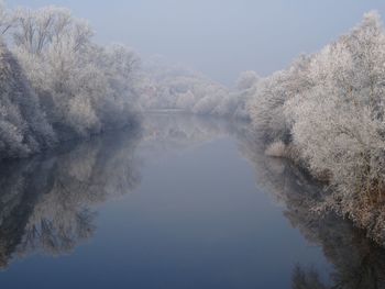 Reflection of trees in lake against sky