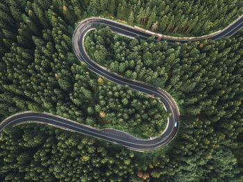 Aerial view of winding road during amidst trees