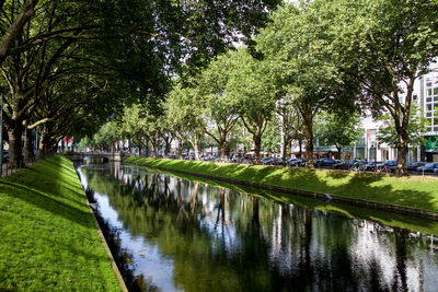 Scenic view of park by lake in city