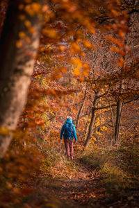 Rear view of woman walking on footpath in forest during autumn