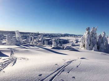 Idyllic shot of snow covered field against blue sky