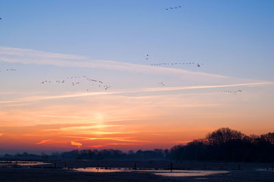 Birds flying against sky during sunset