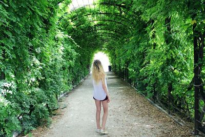 Rear view of woman walking on footpath amidst trees