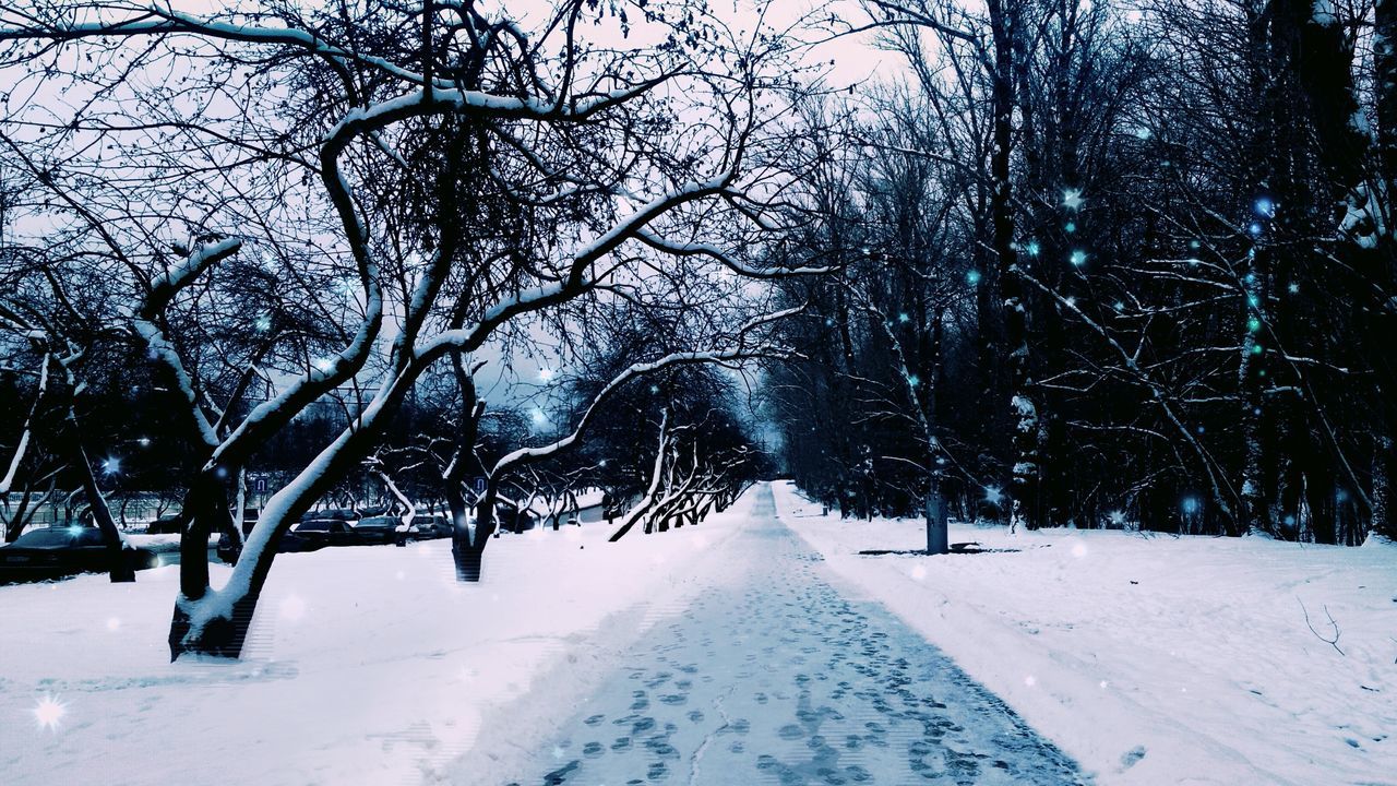 snow, winter, cold temperature, season, bare tree, tree, weather, the way forward, covering, tranquility, branch, nature, tranquil scene, diminishing perspective, frozen, white color, covered, beauty in nature, snow covered, landscape