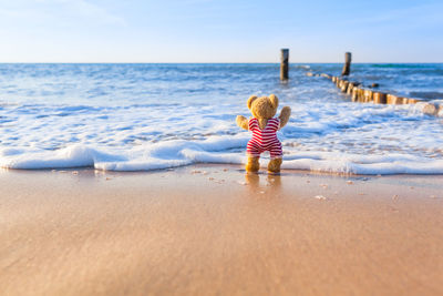 Teddy bear on beach against sky