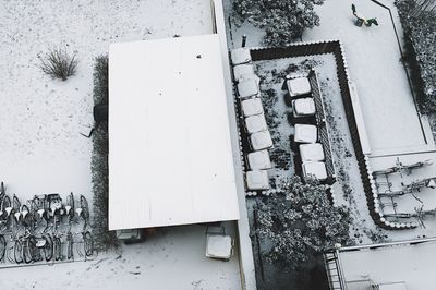 Snow covered tree in front of building