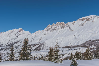 A picturesque landscape view of the french alps mountains and tall pine trees covered in snow