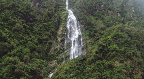 Scenic view of waterfall in forest