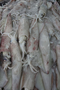 Full frame shot of fish for sale in market