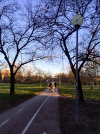 Street amidst bare trees against sky