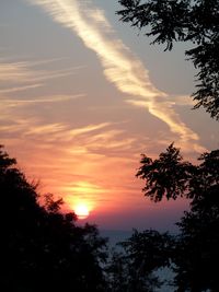 Silhouette trees against sky during sunset