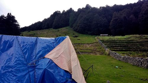 Clothes drying on grass by trees against sky