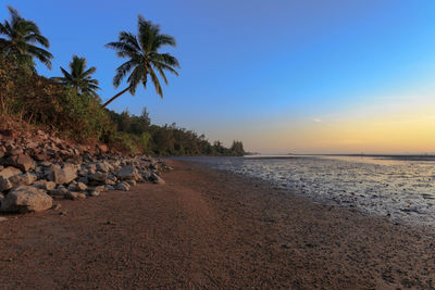 Rocks and trees at beach against sky