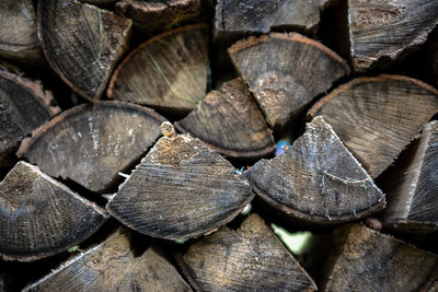 Full frame shot of logs