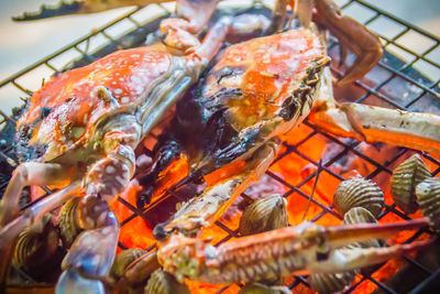 Close-up of meat on barbecue grill