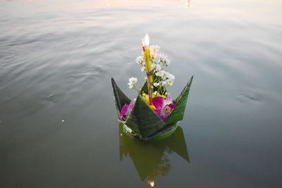 High angle view of lotus water lily in lake