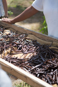 Midsection of man standing by vanilla pods