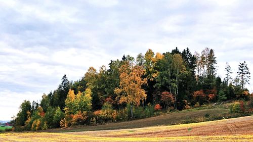 Trees on field against sky during autumn