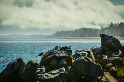 Panoramic view of rocks on beach against sky