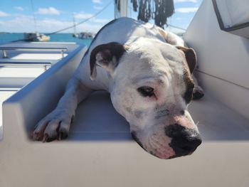 Sleepy time in the boat