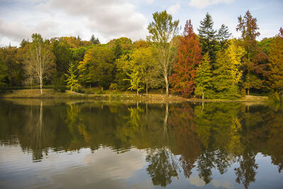 Scenic view of lake by trees during autumn