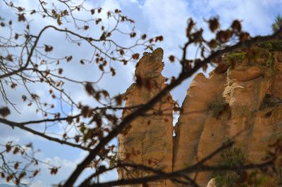 Low angle view of birds on tree