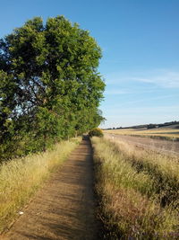 Scenic view of grassy field against cloudy sky