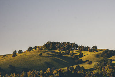 Scenic view of landscape against clear sky