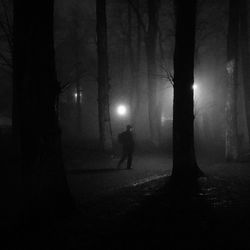 Silhouette people standing on tree trunk