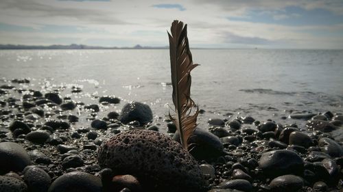Scenic view of sea against cloudy sky