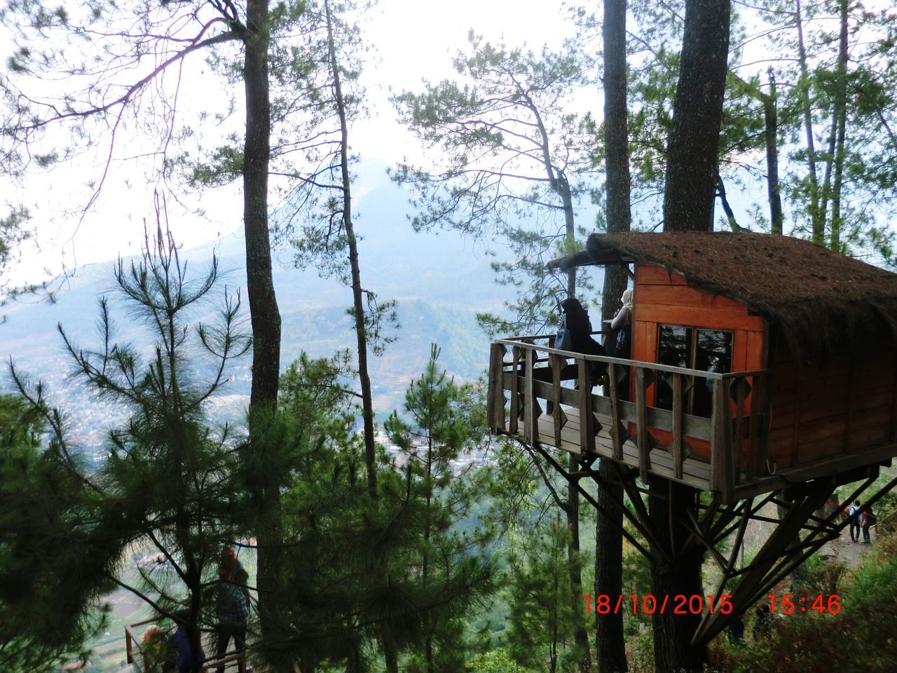 tree, architecture, built structure, building exterior, sky, house, day, growth, transportation, low angle view, nature, outdoors, railing, western script, text, no people, residential structure, branch, communication, mountain