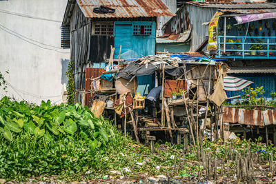 Plants growing outside house in village