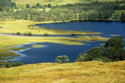 Scenic view of lake in forest against sky