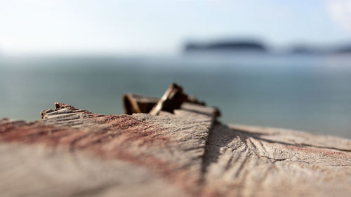 Close-up of rusty metallic wood against sea