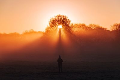 Silhouette man standing against trees in foggy weather