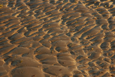 High angle view of footprints on sand at beach