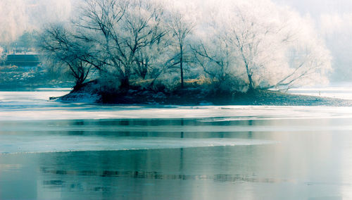 Reflection of bare trees in lake against sky