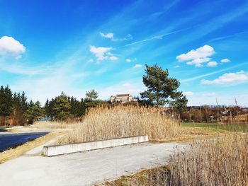 Scenic view of landscape against blue sky