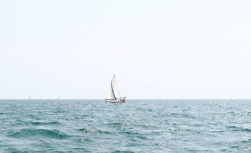 Sailboat sailing on sea against clear sky