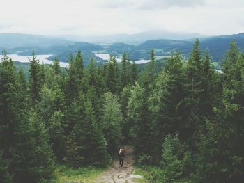 Scenic view of mountains