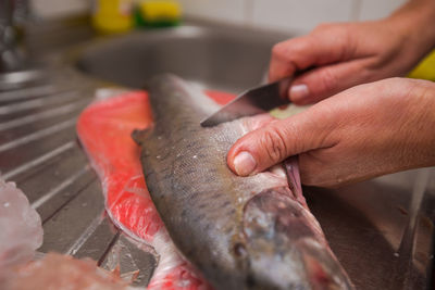 Knife cleaning fish