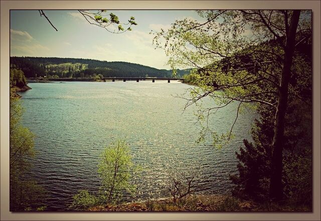 water, transfer print, tree, tranquil scene, tranquility, auto post production filter, scenics, lake, sky, beauty in nature, nature, river, reflection, growth, plant, calm, sea, rippled, branch, waterfront