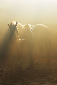 Woman and horse