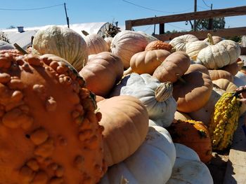 Close-up of pumpkins for sale at market