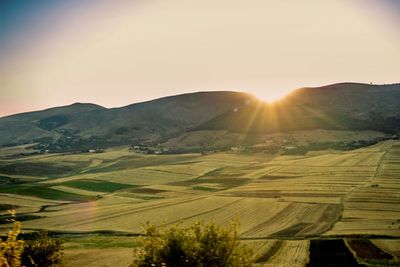 Sunset over field